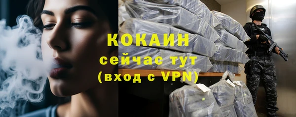 прущие грибы Вяземский