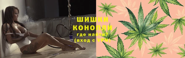 прущие грибы Вяземский