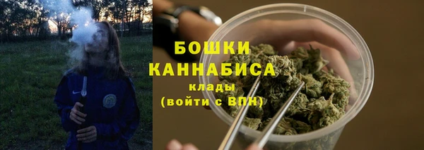 шишки Володарск