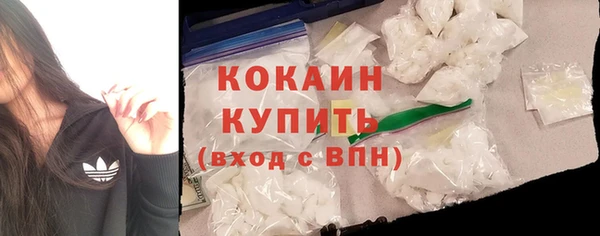 прущие грибы Вяземский
