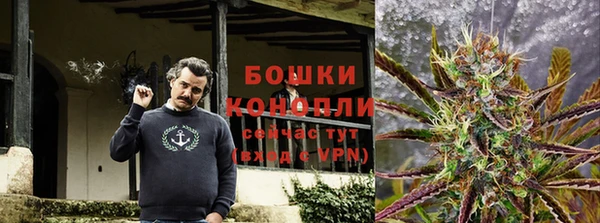 прущие грибы Вяземский