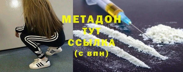 прущие грибы Вяземский
