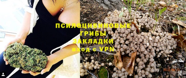 прущие грибы Вяземский